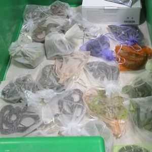 ضبط المهرب قرب سان دييغو