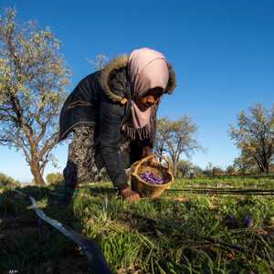 الجفاف أثر بشدة على القطاع الزراعي في المغرب