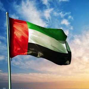 ‎الإمارات تدعو المجتمع الدولي لممارسة ضغوط على الحوثيين