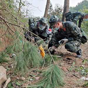 تعليق عمليات البحث عن أدلة حول سبب سقوط طائرة الركاب الصينية