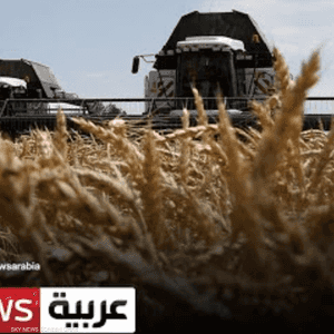 الزراعة تواجه تحديات في السودان بسبب الانفلات الأمني