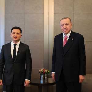 أردوغان وزيلينسكي في لقاء سابق