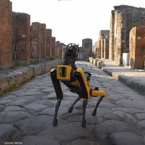 الروبوت "سبوت" طورته شركة "بوسطن ديناميكس" الأميركية