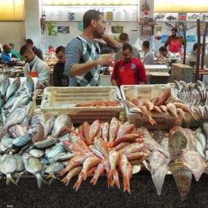 ارتفاع أسعار الأسماك في المغرب في أوائل رمضان