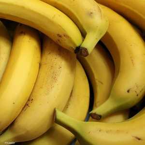 مصنع لتحويل المخلفات الزراعية بمصر وإفريقيا لمنتجات تصديرية