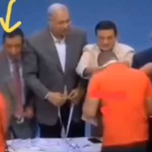 مصطفى هدهود