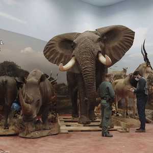 اكتشف نحو ألف عينة في مستودع بمساحة 50 ألف م2