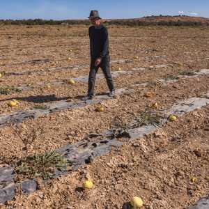 المغرب تعرض لجفاف هو الأشد منذ عقود