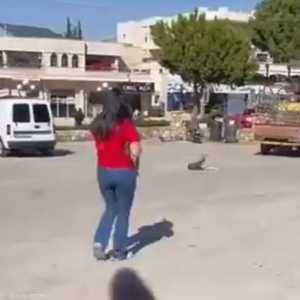 مشهد من الفيديو الذي انتشر على نطاق واسع