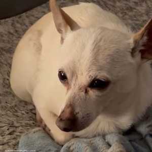 توبي كيث البالغ من العمر 21 عاما و66 يوما