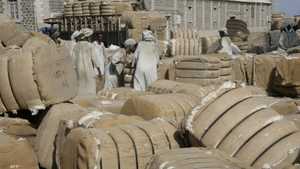 كان السودان يلعب دورا رئيسيا في تحديد أسعار القطن عالميا