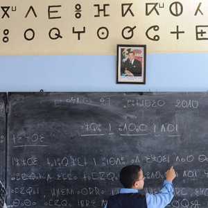 الأمازيغية لا يدرسها سوى 15 في المئة من التلامذة