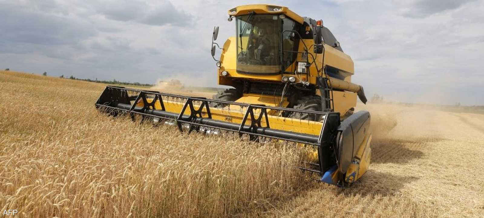 أوكرانيا تصدر 36 بالمئة من واردات الحبوب للاتحاد الأوروبي