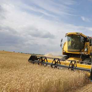 أوكرانيا تصدر 36 بالمئة من واردات الحبوب للاتحاد الأوروبي
