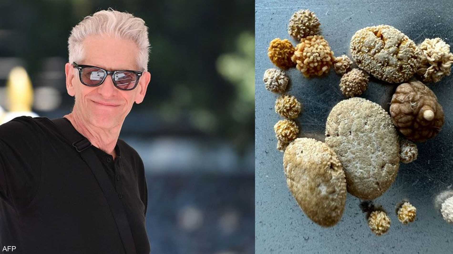 سكاي نيوز عربية | مخرج يبيع شيئا لا يخطر على بال مقابل أصول "إن إف تي"  الرقمية