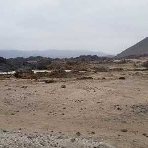 الزلزال وقع شمالي شيلي