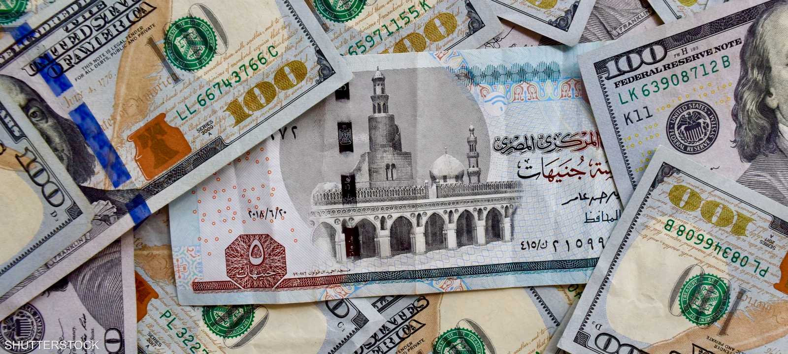 بعد زيادة الطلب.. لماذا ارتفع سعر الدولار في مصر؟