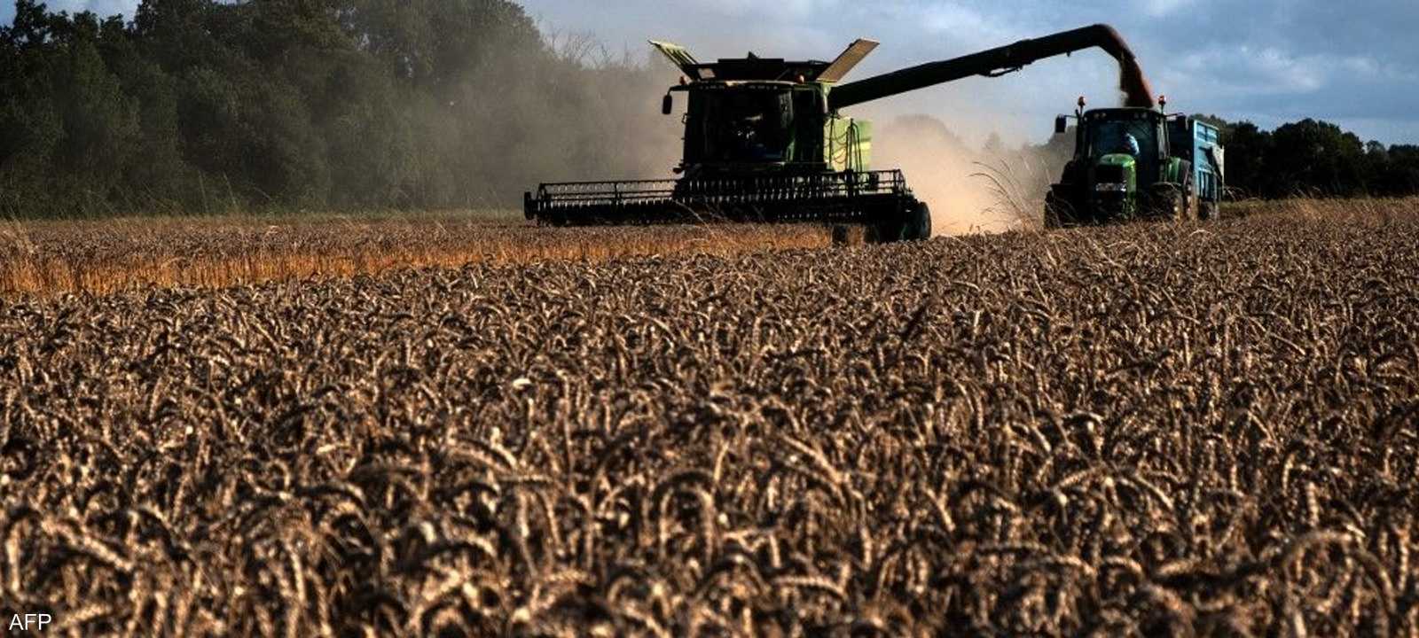 أوكرانيا كانت تصدر قبل الحرب 12 في المئة من صادرات القمح