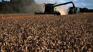 أوكرانيا كانت تصدر قبل الحرب 12 في المئة من صادرات القمح