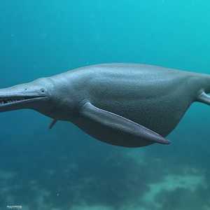 صور للإكتيوصور العملاق