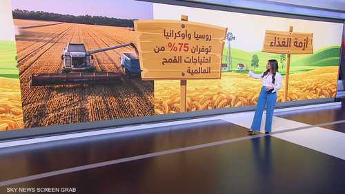 روسيا وأوكرانيا توفران 75% من احتياجات القمح العالمية