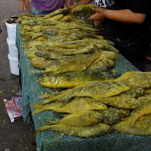 وزارة الصحة تحذر من طريقة تحضير الفسيخ غير الآمنة (أرشيف)