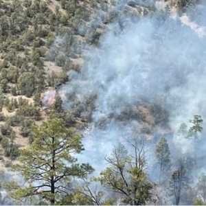 جانب من حرائق الغابات في نيو مكسيكو.