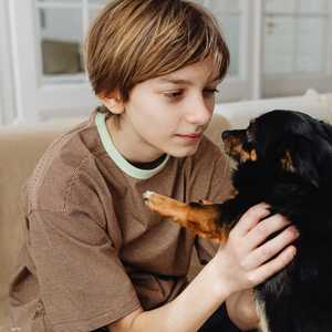 الكلاب قد تكون من أسباب انتشار التهاب الكبد