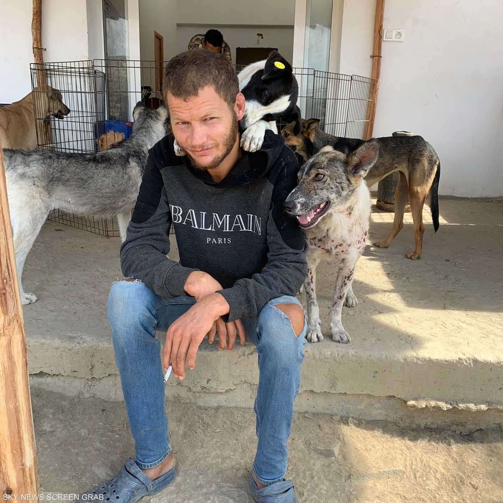 المأوى يضم حاليا أزيد ست مئة حيوان