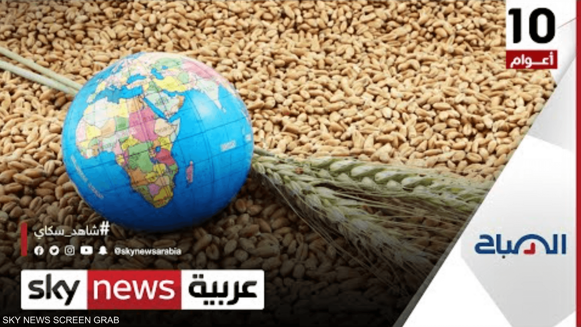 قرار الهند حظر تصدير القمح يعقد أزمة الغذاء العالمية