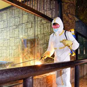 موظفان يقومان يتعقيم حديقة الحيوانات في بيونغيانغ.