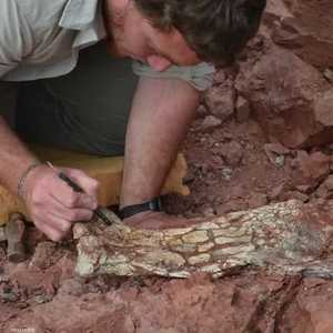 تنين الموت عاش قبل 86 مليون عام