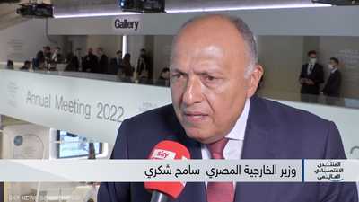 وزير الخارجية المصري سامح شكري في لقاء مع سكاي نيوز عربية