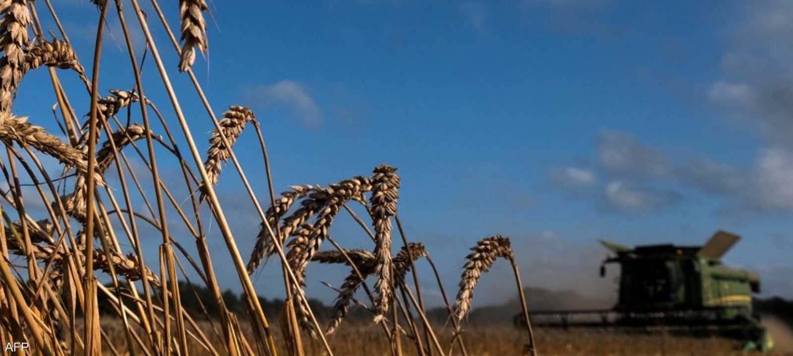 روسيا مستعدة لتقديم مساهمة كبيرة لتخطي أزمة الغذاء