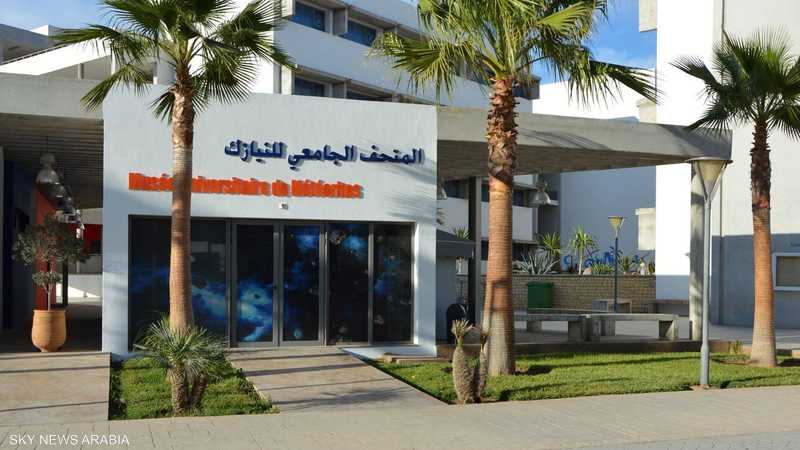 متحف النيازك الجامعي بأكادير