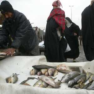 حمى القرم تسببت في 120 حالة إصابة و20 وفاة منذ مارس