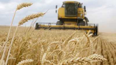 خطة غربية لبناء صوامع على حدود أوكرانيا لتسهيل تصدير الحبوب