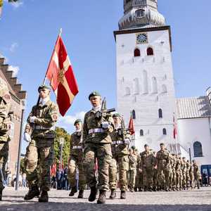 جيش الدنمارك