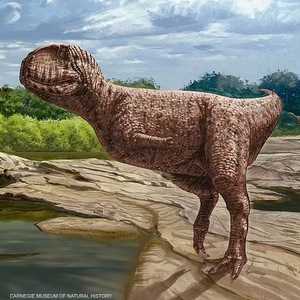 شكل الديناصور كان غريبا