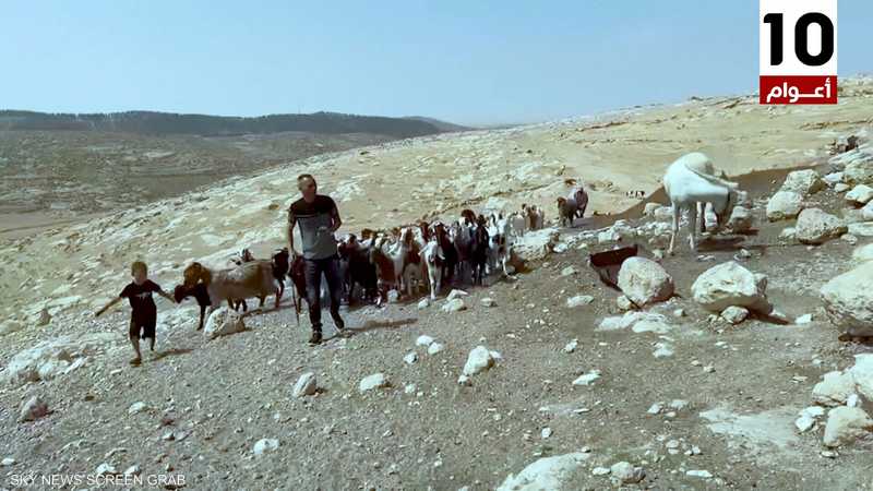 فلسطيني يصور الحياة الريفية في الخليل عبر تيك توك