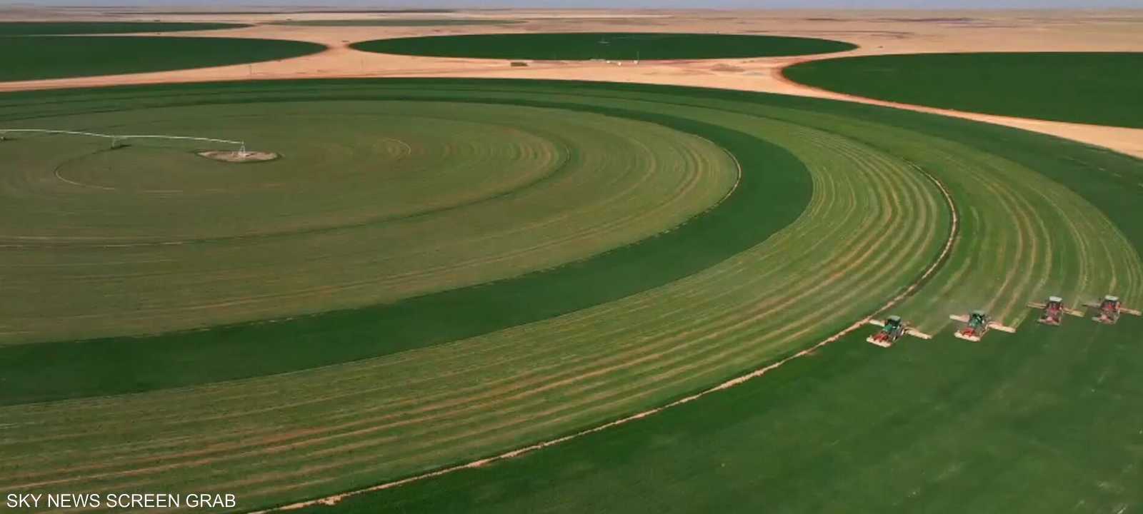 الفاو: ارتفاع تكاليف الأسمدة قد يطيل أمد الأزمة