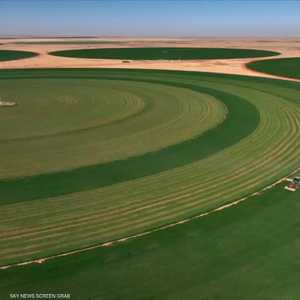 الفاو: ارتفاع تكاليف الأسمدة قد يطيل أمد الأزمة