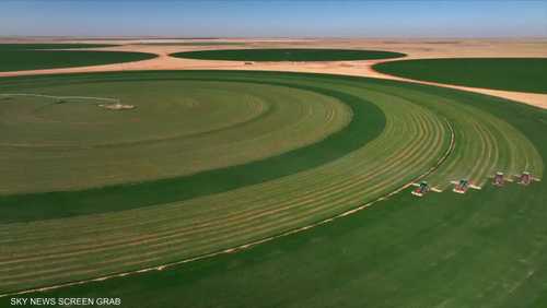 الفاو: ارتفاع تكاليف الأسمدة قد يطيل أمد الأزمة