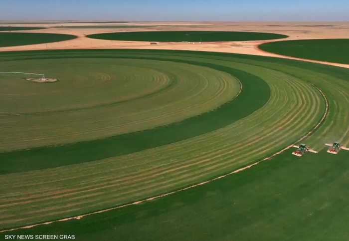 الفاو: ارتفاع تكاليف الأسمدة قد يطيل أمد الأزمة