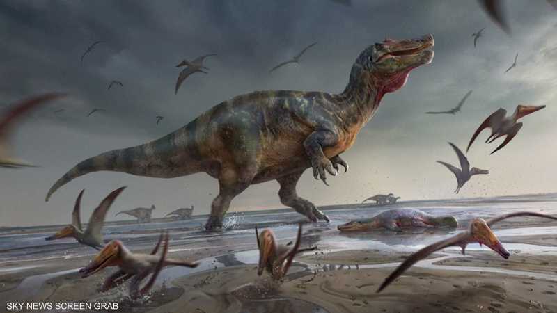 اكتشاف إنجليزي لبقايا أكبر ديناصور أكل للحوم في أوروبا