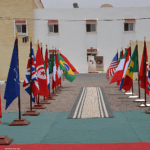 تشارك في المناورات 30 دولة