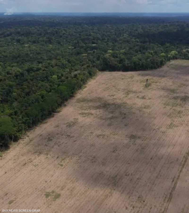 قطع الأشجار في غابات الأمازون سجل أرقاما مرتفعة في مايو