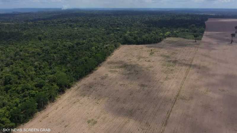 قطع الأشجار في غابات الأمازون سجل أرقاما مرتفعة في مايو