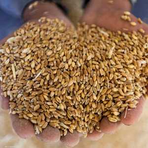 الحبوب الأوكرانية حبيسة الموانئ منذ فبراير الماضي.