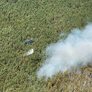 جانب من حرائق ألمانيا